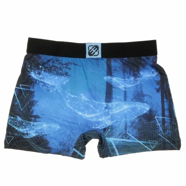 grand choix FREEGUN Boxer Bleu Homme Freegun Sub 3