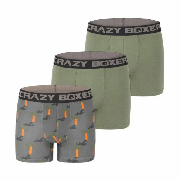 grossiste CRAZY BOXERS Boxer Homme Coton Bio Gots Palmier 1