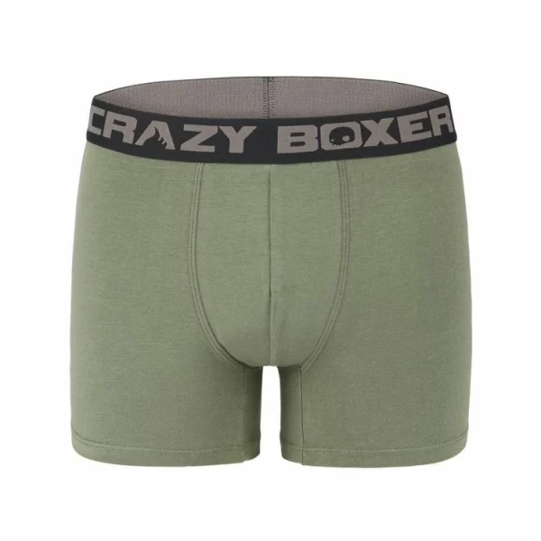 grossiste CRAZY BOXERS Boxer Homme Coton Bio Gots Palmier 4