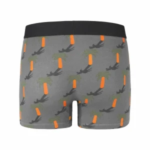 grossiste CRAZY BOXERS Boxer Homme Coton Bio Gots Palmier 18