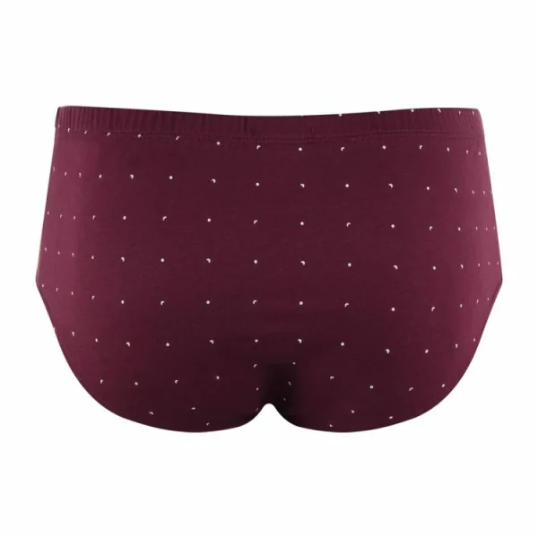 Eminence Slip Taille Haute Fermé Homme Coton Mercerisé pas cher 7